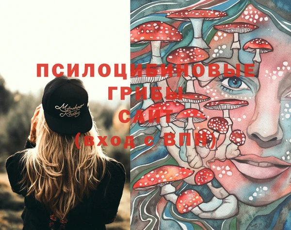 apvp Мегион